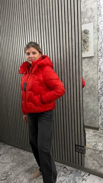 Куртка зимова молодіжна біопух 509 червоний 42 W-509-001 фото